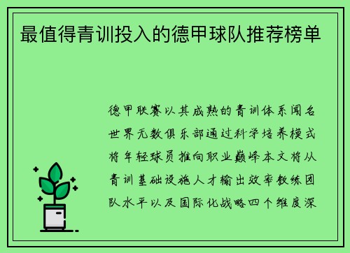 最值得青训投入的德甲球队推荐榜单
